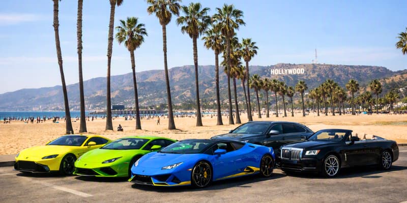 Dream Exotics Los Angeles Location Dream Exotics luxury and exotic car lineup in Los Angeles with palm trees, the beach, and Hollywood Hills