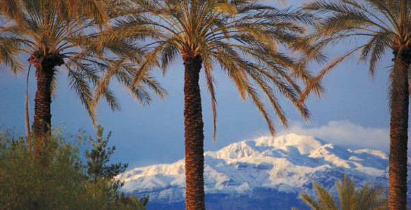 Nevada Winter Drives Rental